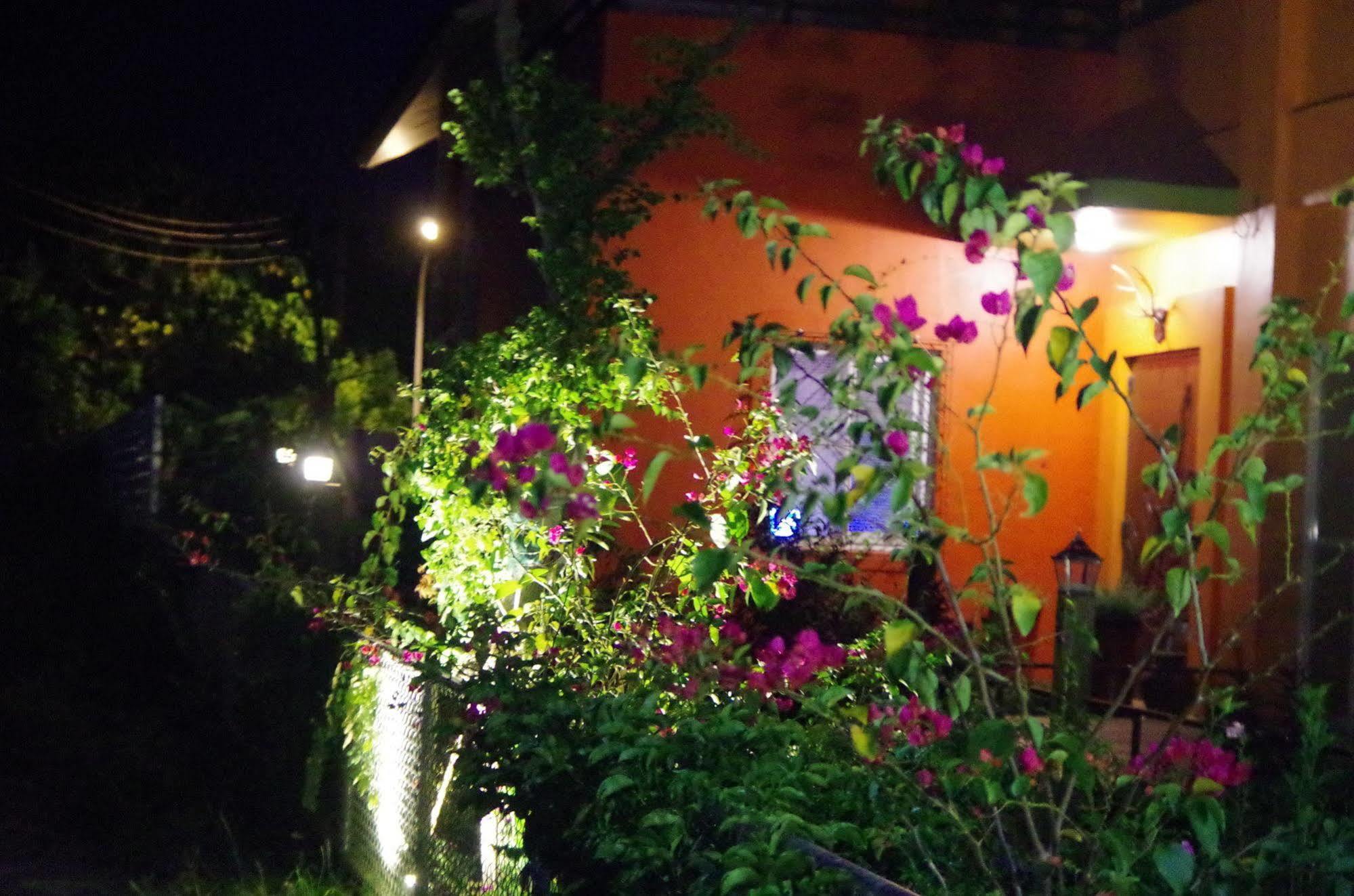 Lung Hill B&B Taitung Екстер'єр фото